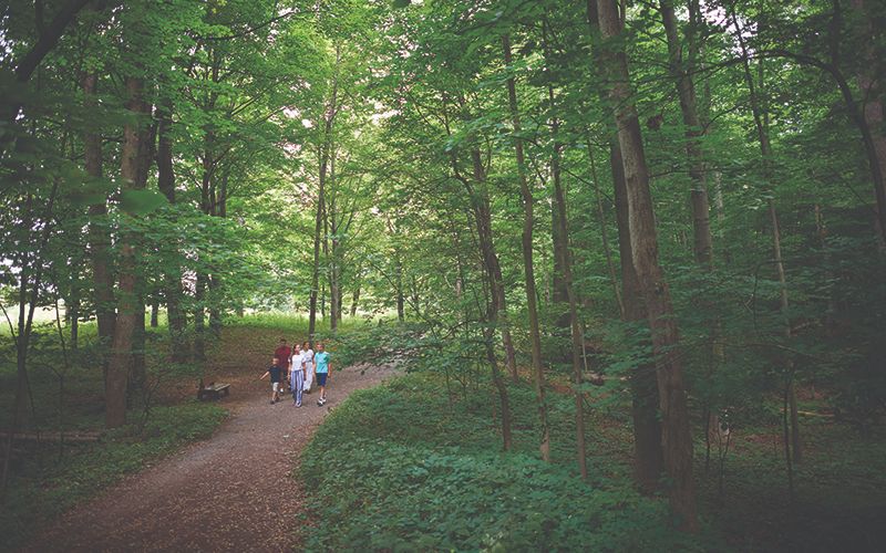 Photo of a family of five; two daughters, a son, and mother and father, walk along a dirt path through a grove of pine trees. 