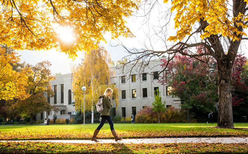 Student walking on campus among autumn leaves.