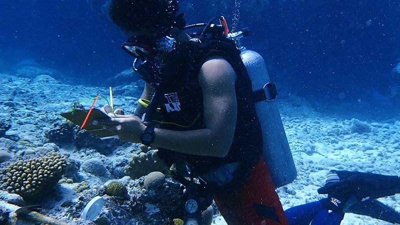 Scuba diver underwater writing on a clipboard
