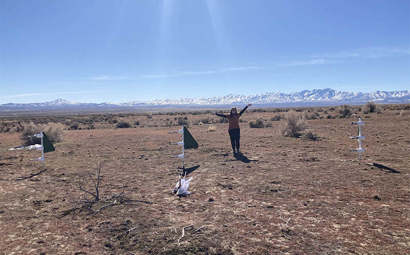 A student in a desert between research marker flags